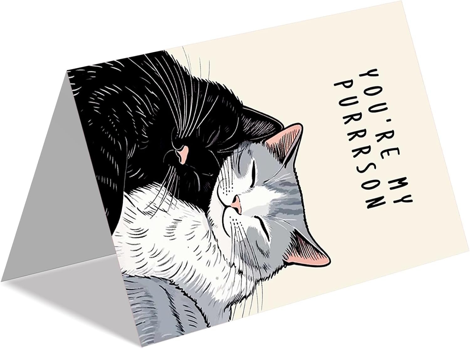 Cute Cat Valentines Day Cards, Lovely Anniversary Card Gifts for Women Men, Romantic Valentines Gifts for Him Her, Cat Valentines Gift Ideas - Image 4