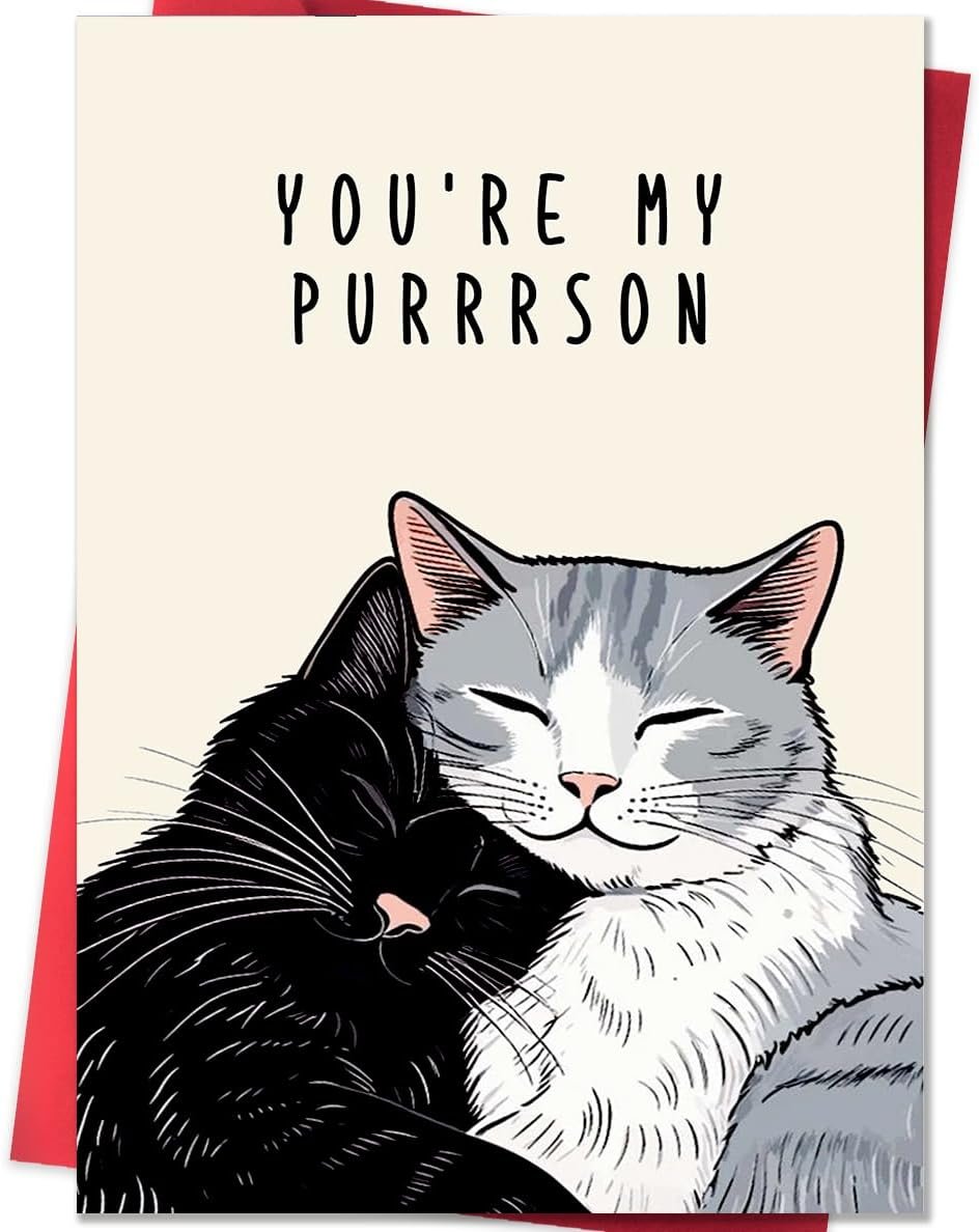 Cute Cat Valentines Day Cards, Lovely Anniversary Card Gifts for Women Men, Romantic Valentines Gifts for Him Her, Cat Valentines Gift Ideas